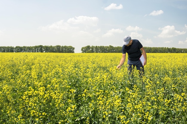 Farmer man examining crops in a blooming rapeseed field agriculture business conceptxDxA