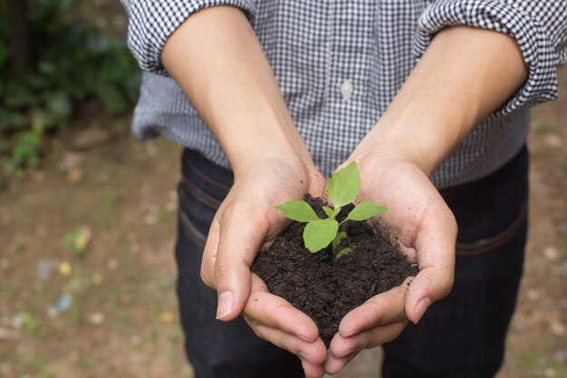 farmer man hands gesture holding a growing plant to save the world