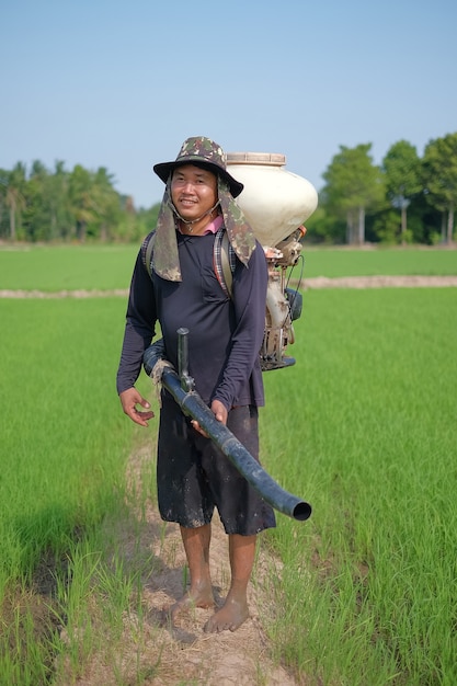 L'agricoltore indossa un cappello e una macchina spandiconcime presso una fattoria di riso verde con luce solare.