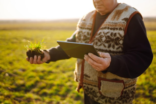 Фото Фермер на пшеничном поле с планшетом в руках на закате умная ферма сельское хозяйство садоводство