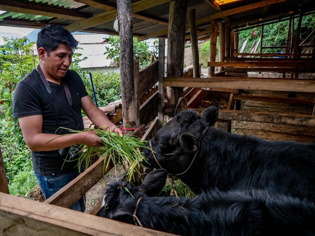 Photo farmer in organic farm in the mountains of cusco