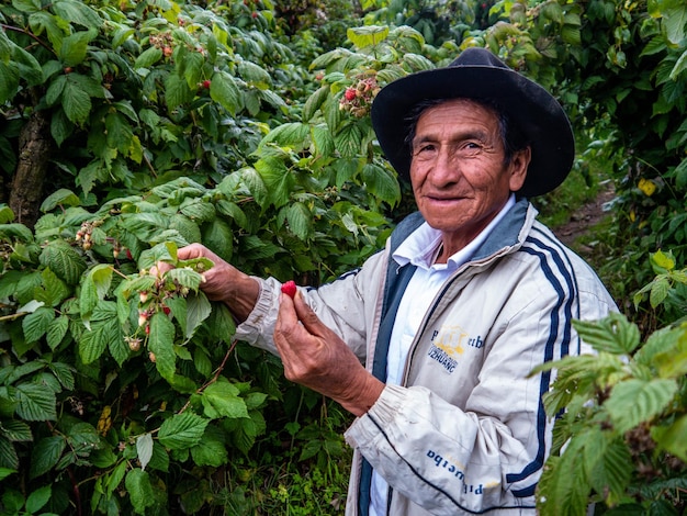 Photo farmer in organic farm in the mountains of cusco