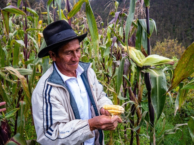 Photo farmer in organic farm in the mountains of cusco