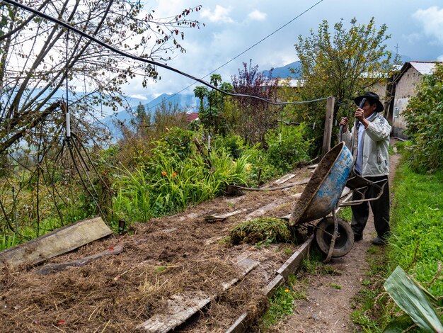 Farmer in organic farm in the mountains of Peru