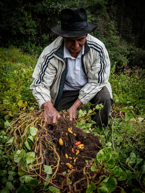 Farmer in organic farm in the mountains of Peru