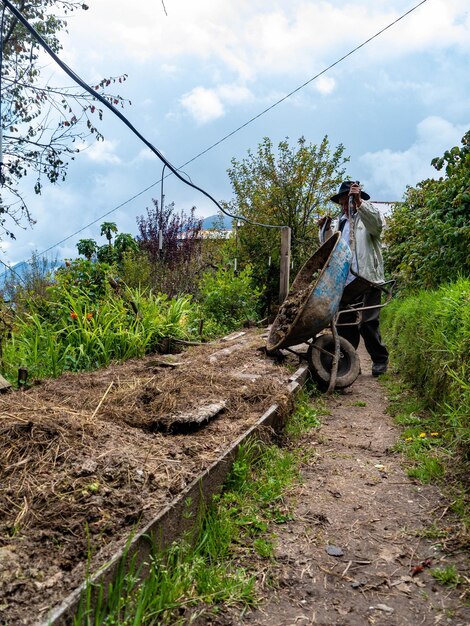 Farmer in organic farm in the mountains of Peru