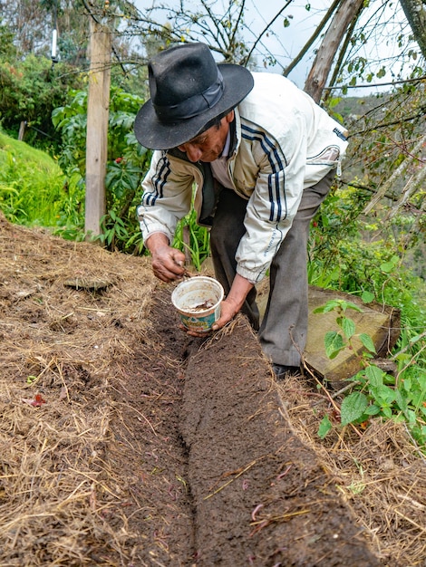 Farmer in organic farm in the mountains of Peru