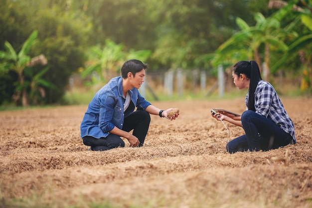 Photo farmer owner and agronomist were consulted scholars about how to improve soil quality before plant