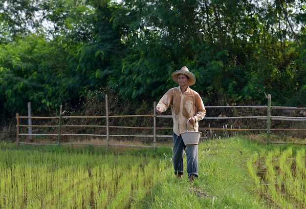 Photo farmer pouring  fertilize