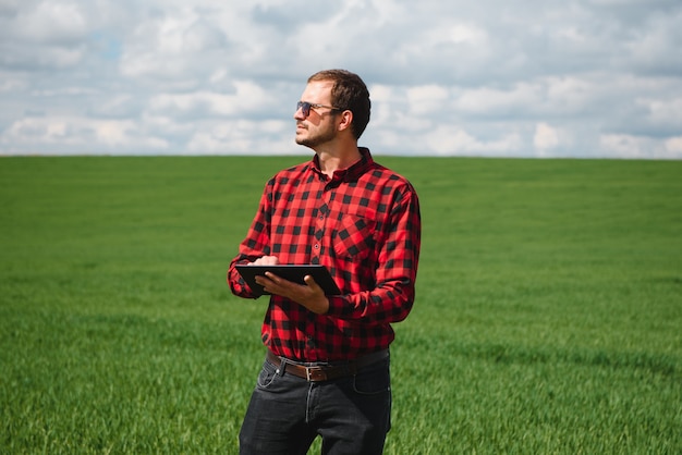 Farmer in red checked shirt using tablet on wheat field. Applying modern technology and applications in agriculture. Concept of smart farming and agribusiness