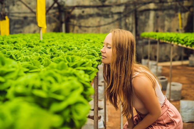 Farmer researching plant in hydroponic salad farm. Agriculture and scientist concept