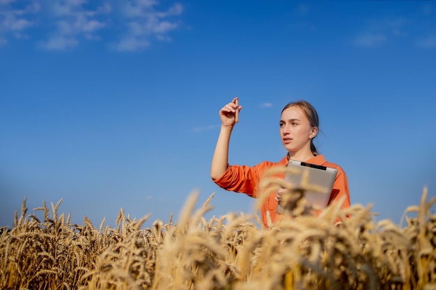 Farmer researching plant in wheat field In his hand he holds a glass tube containing test substance with digital tablet Smart farming using modern technologies in agriculture and scientist concept