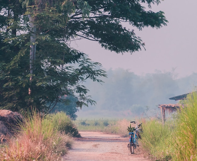 Farmer's bicycle