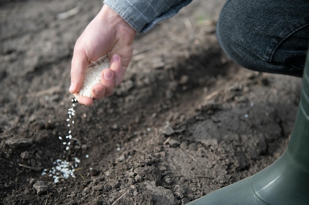 Farmer's hand planting seed in soil