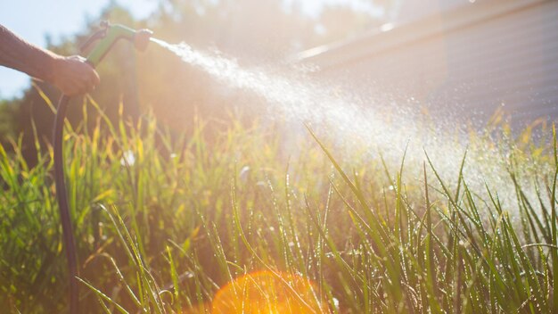 Foto mano dell'agricoltore con tubo da giardino e ugello per pistola che innaffia le piante vegetali in estate concetto di giardinaggio piante agricole che crescono in fila di letti