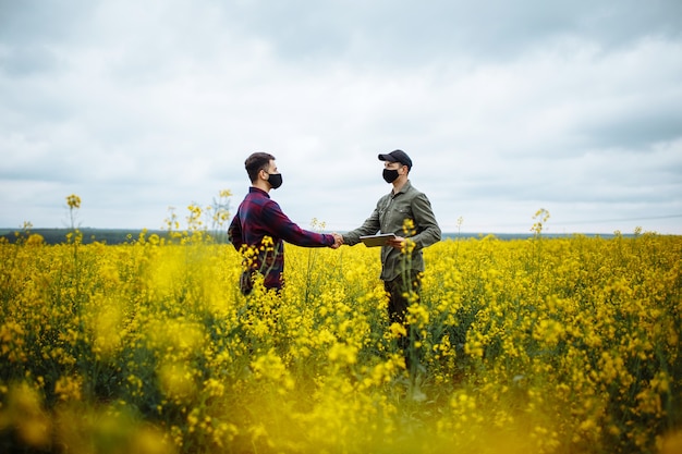 Farmer's hands on rapeseed blooming plants holding a tablet and hold hands in a field