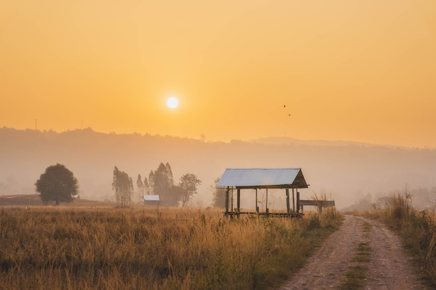 Фото Хижина фермера на рисовом поле вдоль сельской дороги на рассвете.