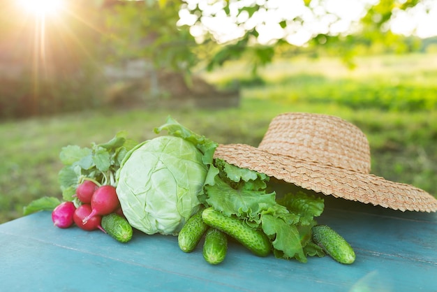 農家の夏の収穫自然を背景に野菜キャベツきゅうり大根とレタスを載せたテーブル生物バイオプロダクツ生物生態学自家菜食主義者の概念