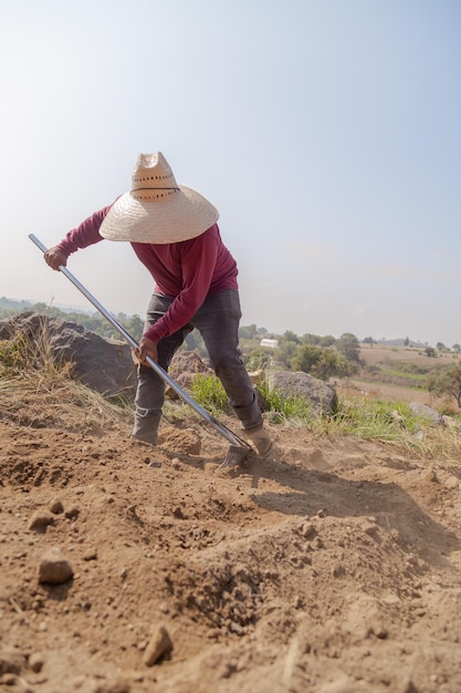 The Farmer's Task Planting Onions in Fertile Soil