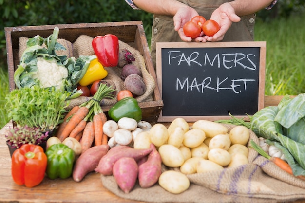 Farmer selling organic veg at market