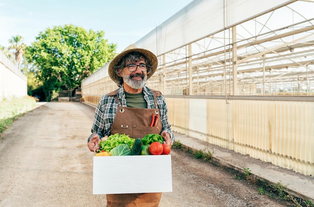 Photo farmer senior man working in his farm and greenhouse