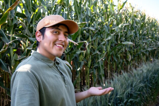 Farmer showing corn plantation in field