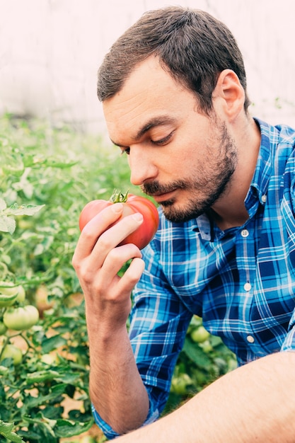 Farmer smelling a freshly picked tomato