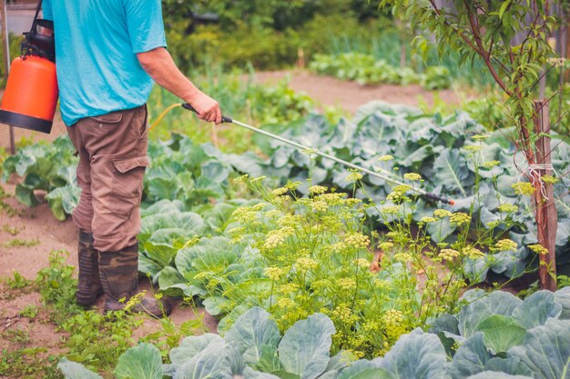 農夫は庭で野菜の薬を散布しました