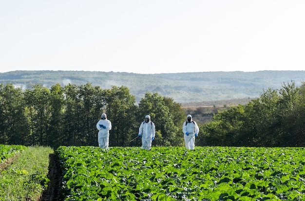 Farmer spruzzando pesticidi campo maschera raccolta chimica protettiva