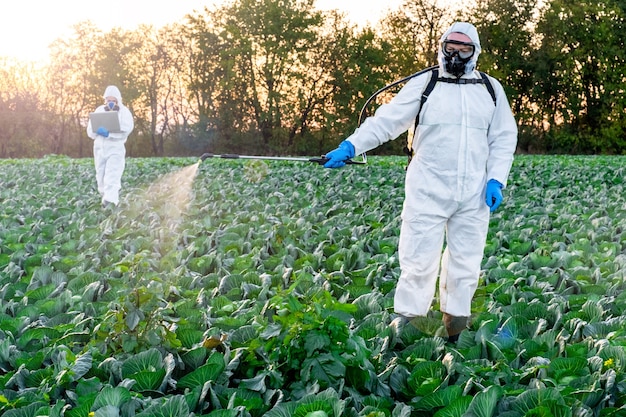 Фермер распыляет пестицидную маску для сбора урожая защитный химикат