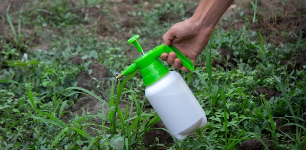 Foto l'agricoltore spruzza le erbacce nel giardino fuoco selettivo