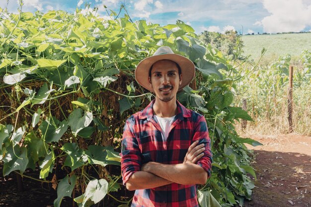 Farmer standing in front of the eggplant plantation on a sunny day. Portrait of a farmer in a farmland.