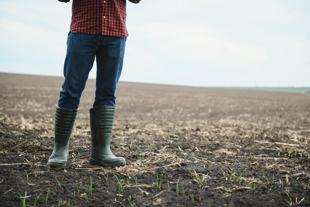 Farmer standing in a plowed field Agriculture crop concept