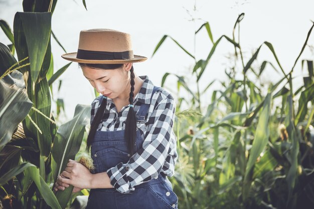 farmer standing proud in front of his cornfield while sunny summer day.