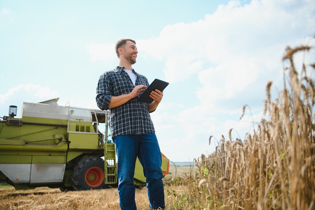 Farmer Standing In Wheat Field At Harvest