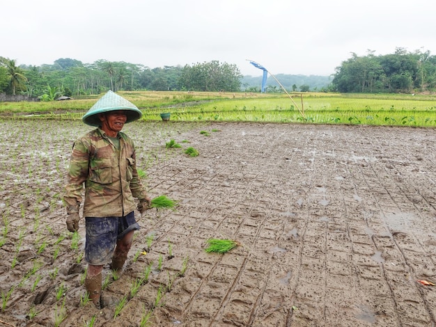 A farmer stands in a field with a hat on.