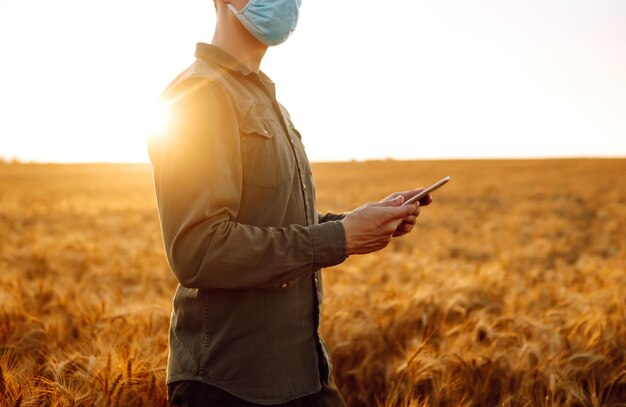 Farmer in a sterile mask with a tablet in their hands in a wheat field at sunset Agro business