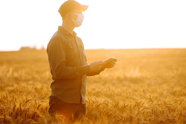 Photo farmer in a sterile mask with a tablet in their hands in a wheat field at sunset agro business