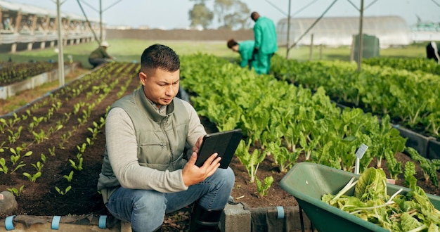 写真 農家 タブレットと温室植物 農業のための農業とガーデニング 緑の製品とビジネス マネージャー 農作物収や野菜とデジタル技術でタイプする起業家