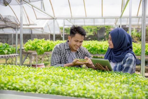 Farmer team working in hydrophonic farm