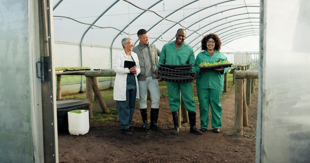 農家のチームワークと温室植物 園芸や農業における農業と持続可能性の協力 プロの食品科学者 マネージャーと農業開発のための肖像画で笑う人々