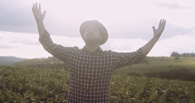 Farmer thanking for the harvest or rain. Soy plantation. Brazilian farm.