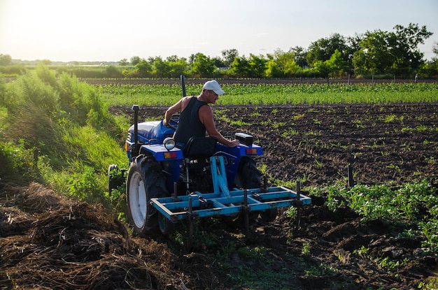 Un agricoltore su un trattore si trasferisce in un campo di patate agroindustria e agroalimentare coltivazione nei campi macchine agricole cura delle colture miglioramento della qualità del suolo aratura e allentamento del terreno