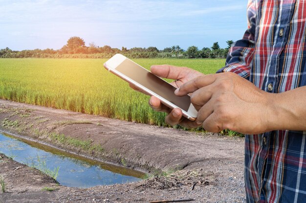 農家​は​デジタル​携帯​電話​を​使用して​、​稲作​農家​の​レポート​を​収集し​、​データ​を​分析します​スマート​農業​の​コンセプト