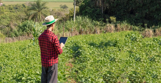 Farmer using digital tablet computer in cultivated soybean field plantation. Modern technology application in agricultural growing activity.