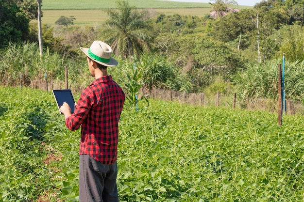 Farmer using digital tablet computer in cultivated soybean field plantation. Modern technology application in agricultural growing activity.