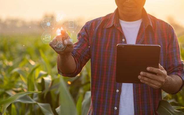 Agricoltore che utilizza la tavoletta digitale nel campo coltivato del raccolto di mais con icone dell'interfaccia di agricoltura intelligente e luce effetto tramonto bagliore tecnologia intelligente e nuova per il concetto di business agricolo