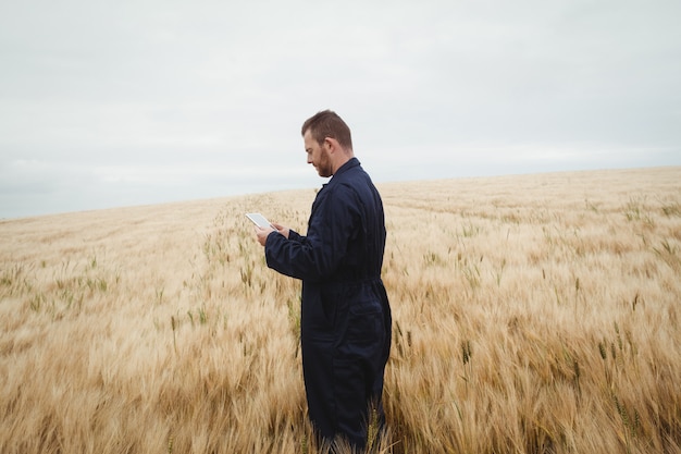 Farmer using digital tablet in the field