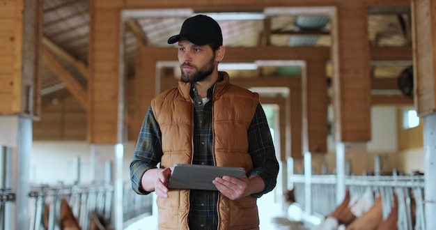 現代の酪農場施設の牛舎でタブレット コンピューターを使用する農家農業経営者のチェック データは、畜産でタブレット PC を保持します。牛舎納屋インテリア ストール牛舎