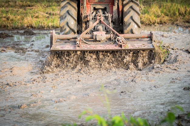 Photo farmer using tiller machine in rice field